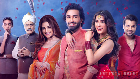 Collections Of Chhalawa on Boxoffice In Pakistan