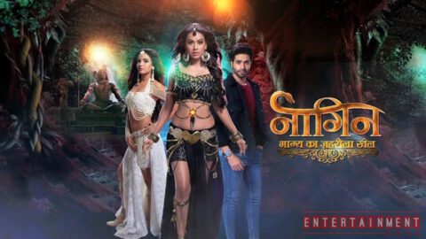 naagin 4 28th march 2020