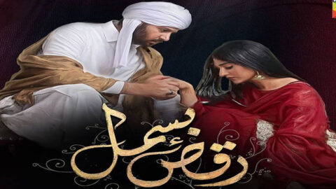 Raqs-e-Bismil Episode 25 Hum Tv Drama