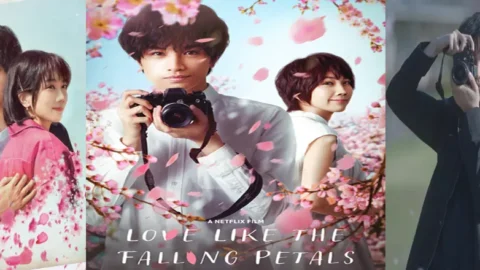 Love Like The Falling Petals Cast